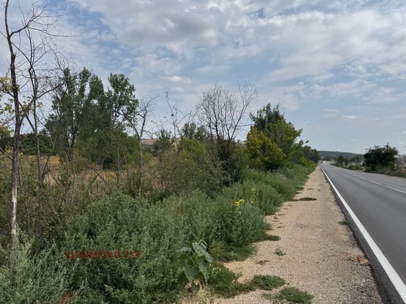 For Sale  Plot Pleven , Industrialna zona - Zapad , 17500 sq.m | 43668428 - image [3]