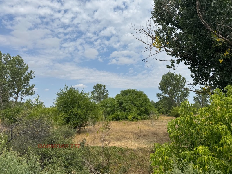 For Sale  Plot Pleven , Industrialna zona - Zapad , 17500 sq.m | 43668428 - image [2]