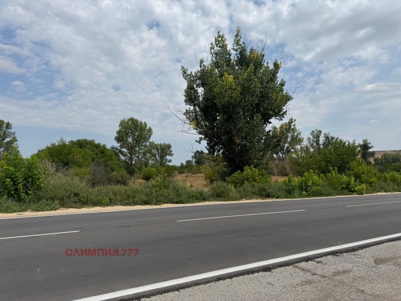For Sale  Plot Pleven , Industrialna zona - Zapad , 17500 sq.m | 43668428 - image [5]