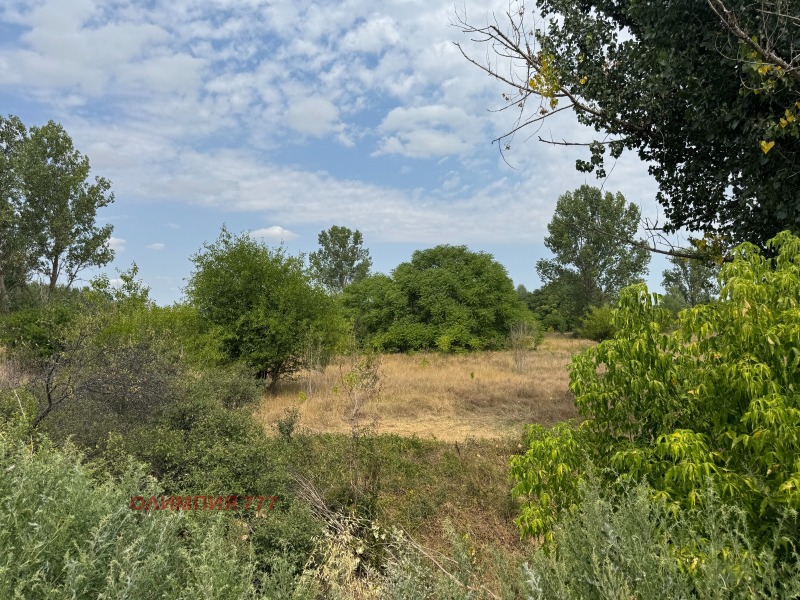 For Sale  Plot Pleven , Industrialna zona - Zapad , 17500 sq.m | 43668428 - image [4]