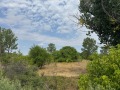Продава ПАРЦЕЛ, гр. Плевен, Индустриална зона - Запад, снимка 2