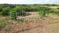 Продава КЪЩА, област Варна, с. Караманите • 19000 € • 88846947 — Holmes.bg