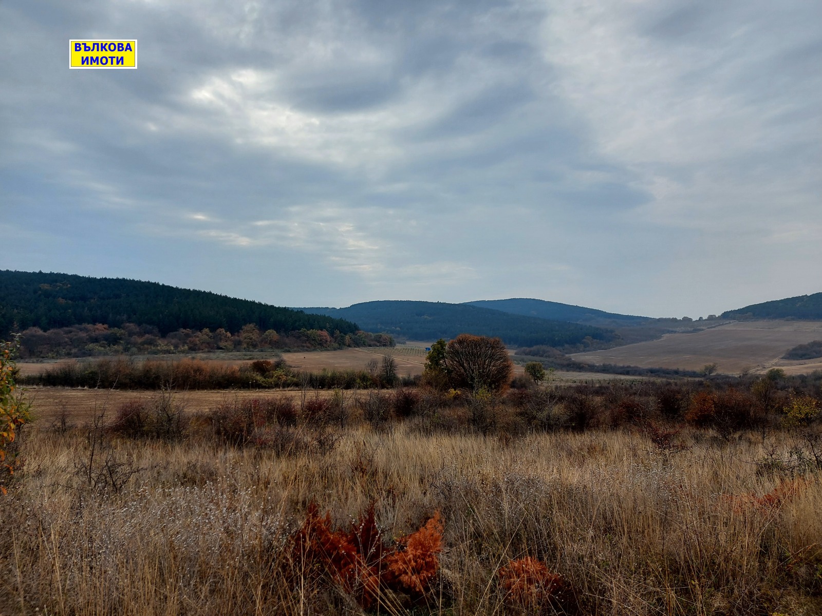 ������� ���������� ���� | Imot.bg � ����������� 1