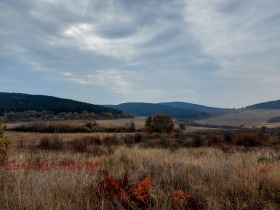 ����� ������� ���������� ����,�. �������, ������ ����� ������