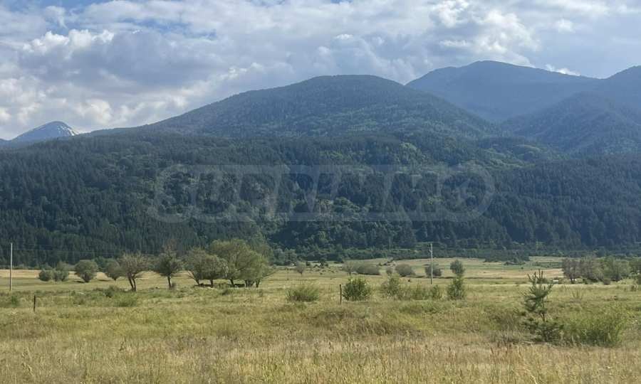 Продава ПАРЦЕЛ, гр. Добринище, област Благоевград, снимка 5 - Парцели - 55136194