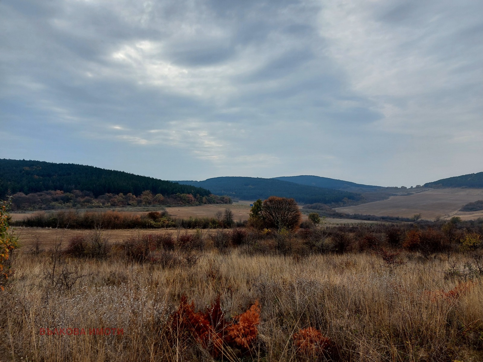 Продава ЗЕМЕДЕЛСКА ЗЕМЯ, с. Лясково, област Стара Загора