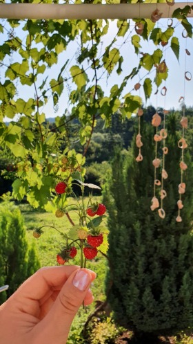 ������� ���� | Imot.bg � ����� ������ 15