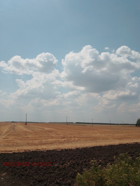 Land Sokolovo, region Dobrich 1