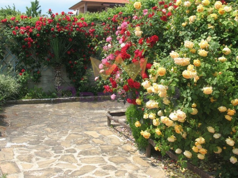 Na prodej  Dům oblast Varna , Bliznaci , 680 m2 | 52985340 - obraz [10]