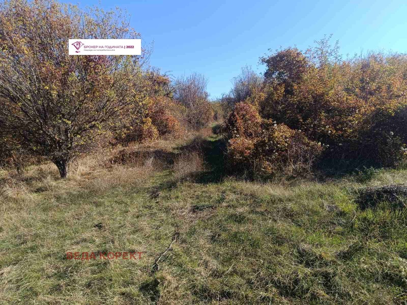 In vendita  Complotto Sofia , Lozen , 3319 mq | 61412705 - Immagine [3]