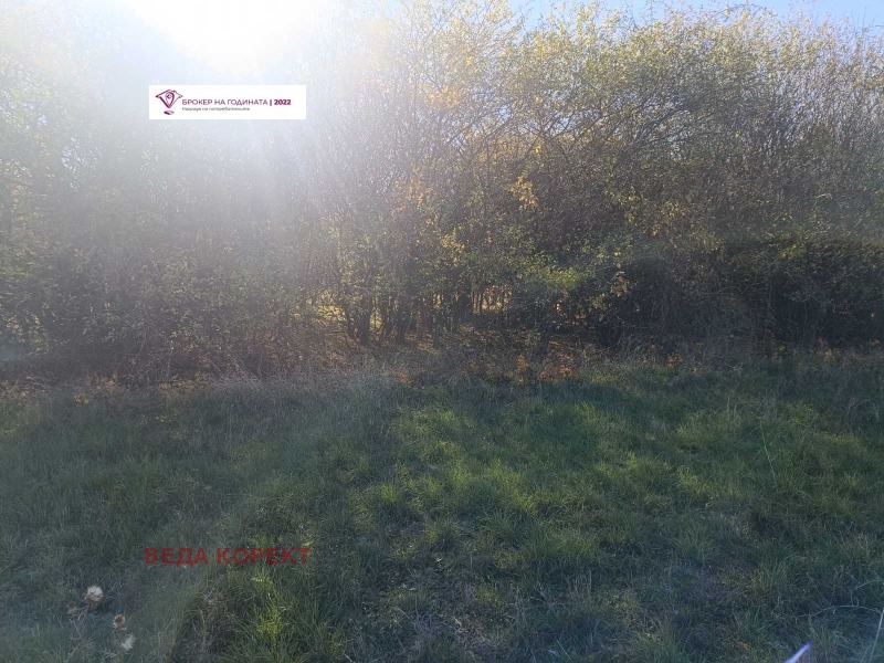 In vendita  Complotto Sofia , Lozen , 3319 mq | 61412705 - Immagine [7]