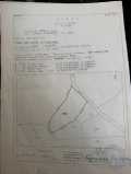 Продава ЗЕМЕДЕЛСКА ЗЕМЯ, с. Чепино, област Перник, снимка 6