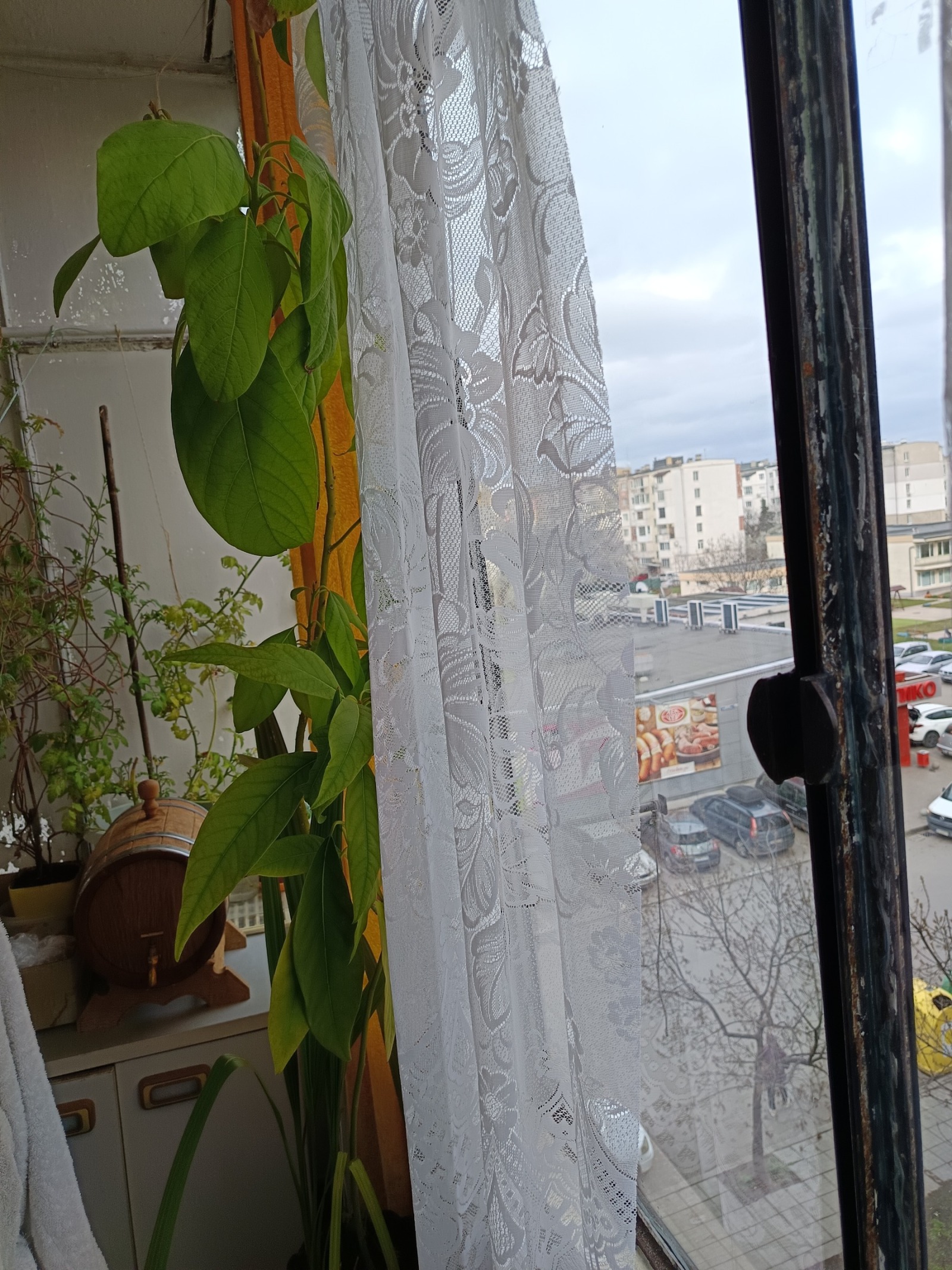 ������� 2-����� | Imot.bg � ����������� 6