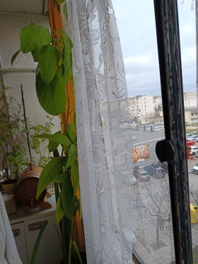 ������� 2-����� | Imot.bg � ����� ������ 6