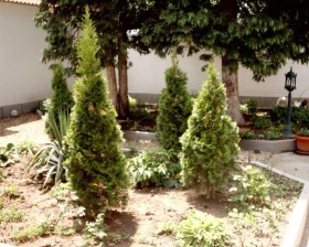 ������� 3-����� | Imot.bg � ����� ������ 4