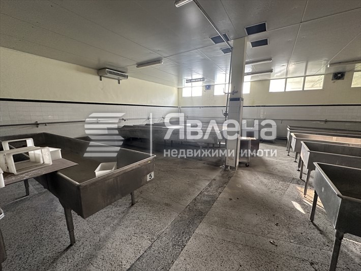 Продава  Пром. помещение град Добрич , Рилци , 1976 кв.м | 35873612 - изображение [6]
