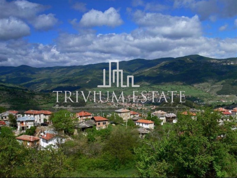 À vendre  Parcelle région Smolyan , Hvoina , 2545 m² | 25153888