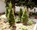 Продава  3-стаен град София , гр. Банкя , 100 кв.м | 65511910 - изображение [4]