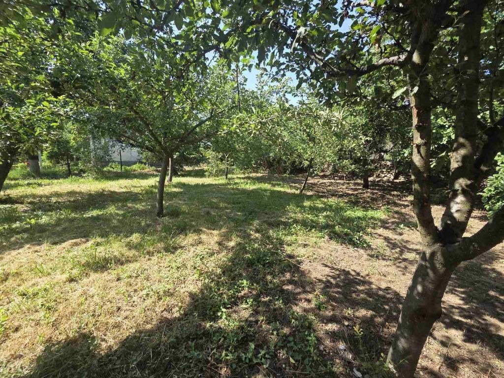 Продава КЪЩА, с. Соволяно, област Кюстендил, снимка 7 - Къщи - 55121634