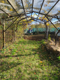 Продава КЪЩА, с. Изворче, област Ловеч, снимка 3