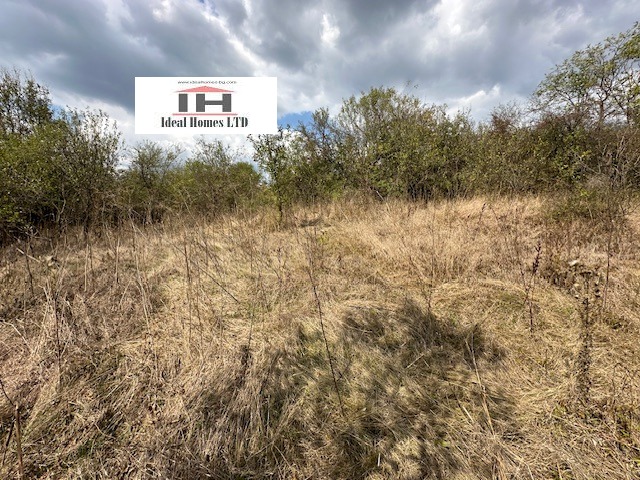 ������� ���� | Imot.bg � ����������� 16