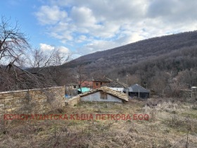 Plot Stefanovo, region Lovech 1