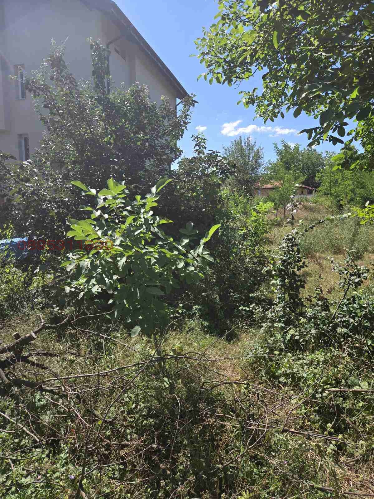 Продава ПАРЦЕЛ, с. Опицвет, област София област, снимка 2 - Парцели - 55692423