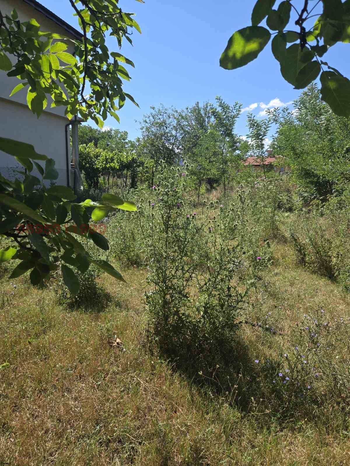Продава ПАРЦЕЛ, с. Опицвет, област София област, снимка 3 - Парцели - 55692423