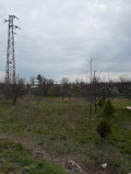 Продава ПАРЦЕЛ, с. Бранище, област Добрич, снимка 3