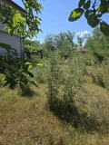Продава ПАРЦЕЛ, с. Опицвет, област София област, снимка 3