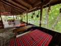 Продава ЗАВЕДЕНИЕ, област Кюстендил, с. Пастра • 150000 € / 293374.50 лв. • 56460052 11