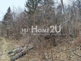 ����� ������� ������,���� �����, �. ������