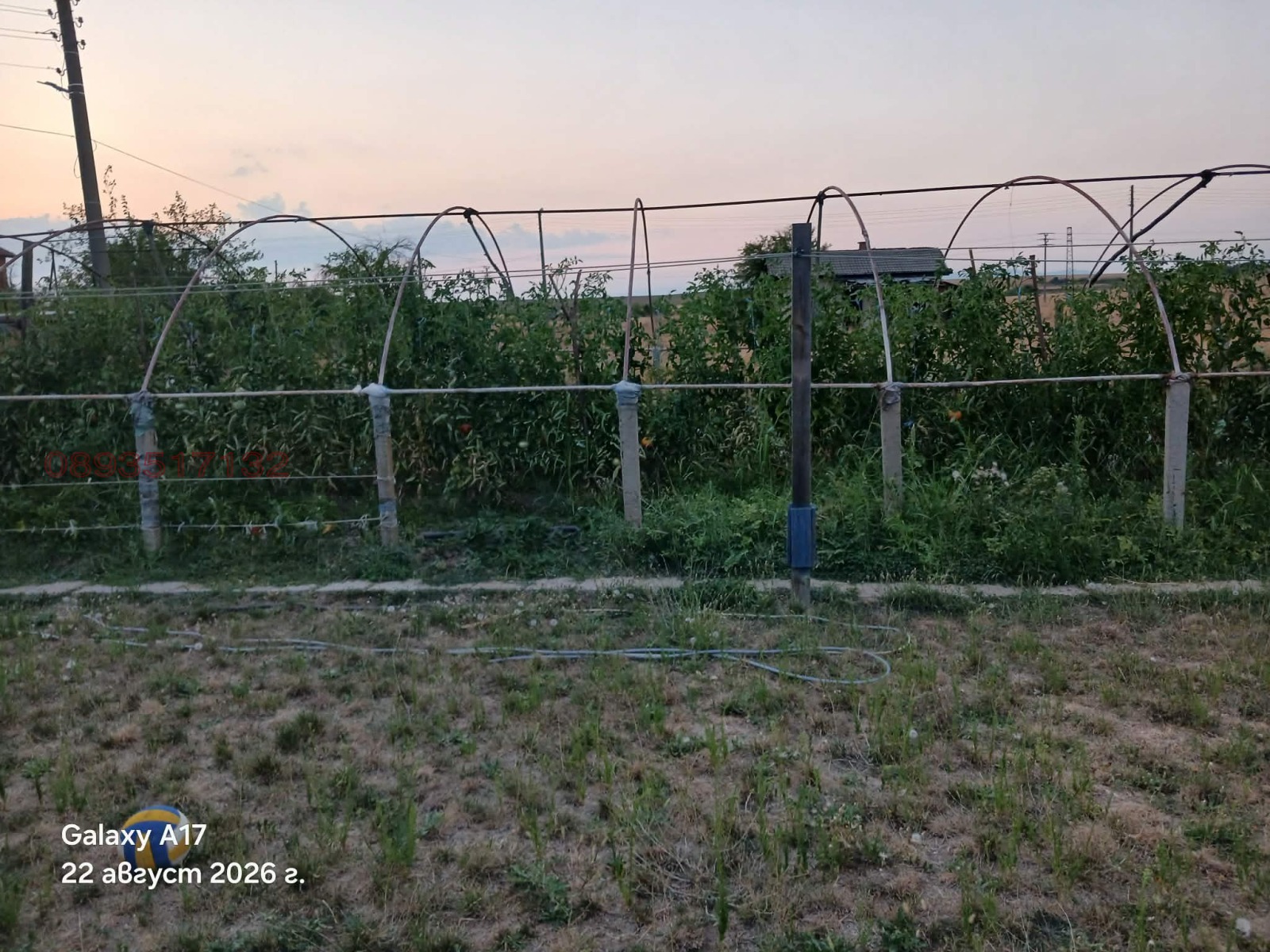 Продава КЪЩА, с. Черна гора, област Стара Загора, снимка 7 - Къщи - 55784836
