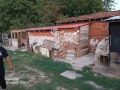 Продава КЪЩА, с. Черна гора, област Стара Загора, снимка 10