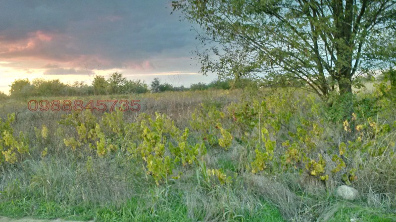 Продава КЪЩА в област Силистра, гр. Алфатар - 80 кв.м / 21 000 € » 41 072.43 лв.