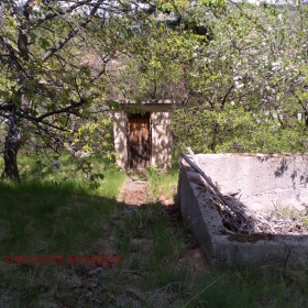 Talo Divotino, Pernikin alue 12