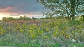 ����� ������� ����,��. �������, ������ ��������