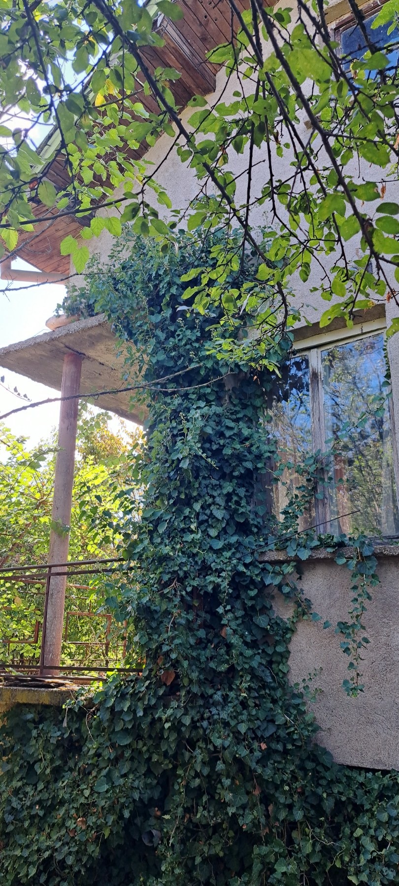 Продава КЪЩА, с. Калояновец, област Стара Загора, снимка 8 - Къщи - 56262096