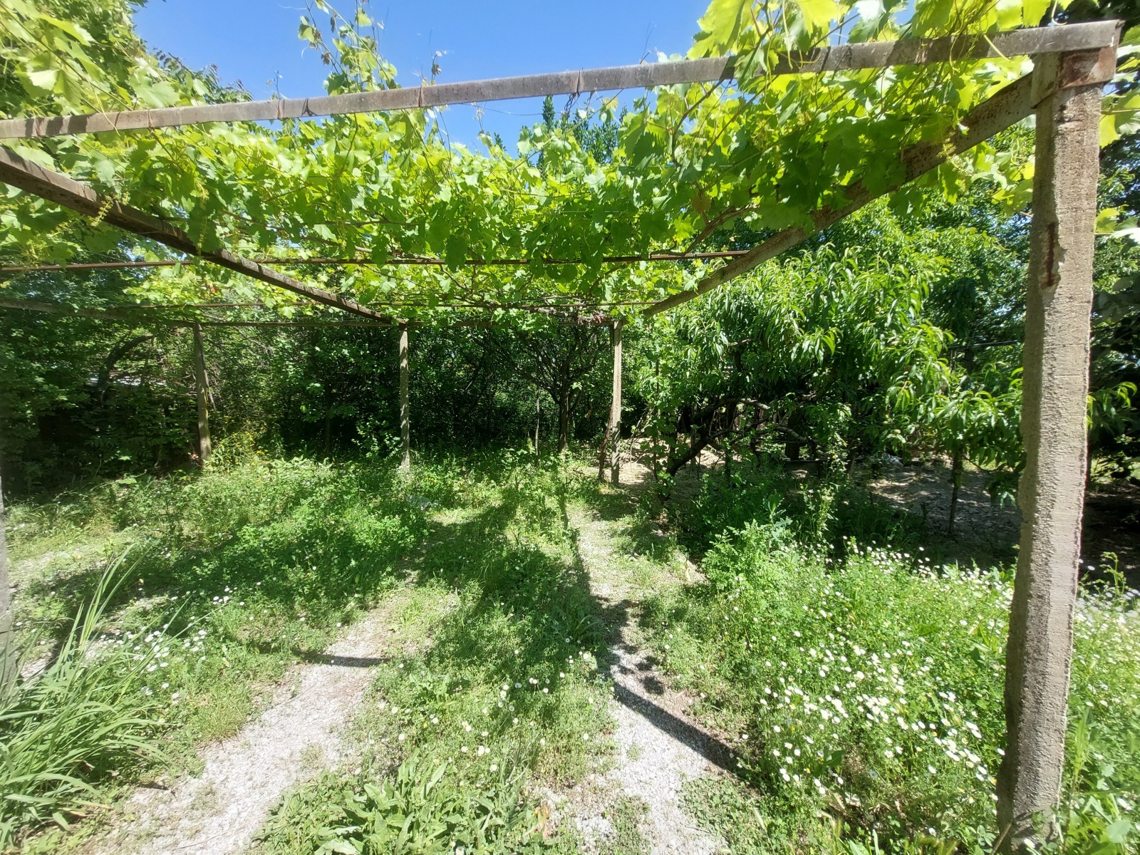 Продава ПАРЦЕЛ, гр. Горна Оряховица, област Велико Търново, снимка 2 - Парцели - 52603259