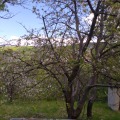 Продава КЪЩА, област Перник, с. Дивотино • 85000 € • 45291637 — Holmes.bg
