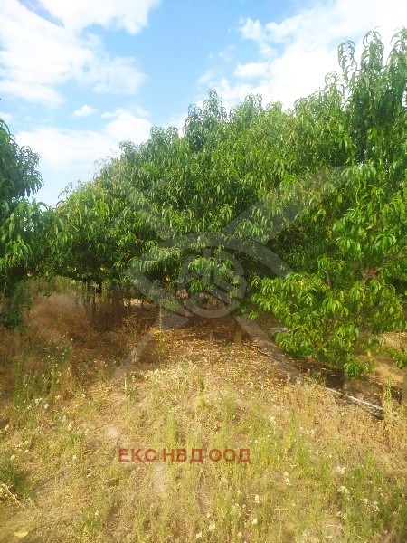 ������� ������ | Imot.bg � ����������� 4