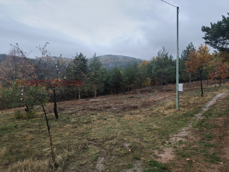 Продава ПАРЦЕЛ в област София, с. Венковец - 966 кв.м / 48 500 € » 94 857.76 лв.