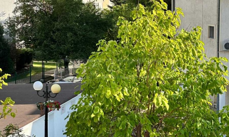 Προς πώληση  1 υπνοδωμάτιο περιοχή Μπουργκάς , Σβετη Βλασ , 64 τ.μ | 21655145 - εικόνα [2]