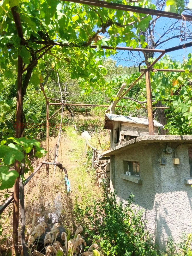 Продава КЪЩА, гр. Мъглиж, област Стара Загора, снимка 17 - Къщи - 52751110