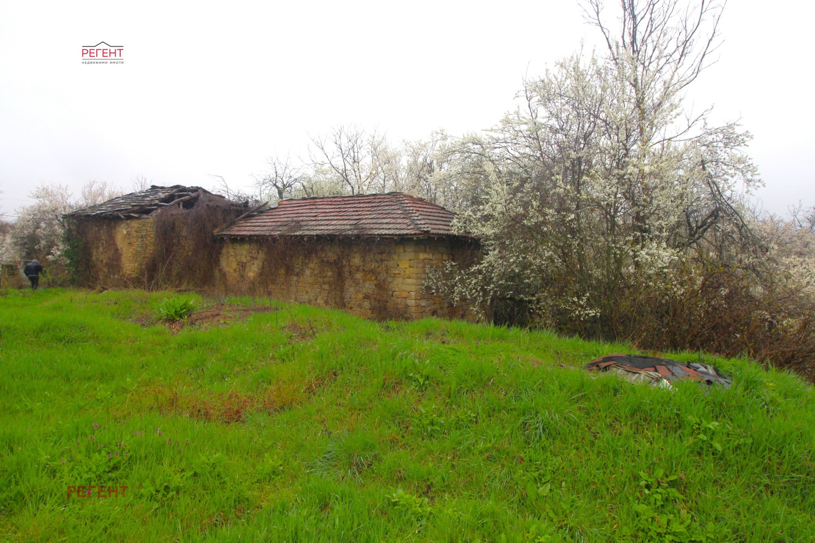 ������� ������ | Imot.bg � ����������� 1