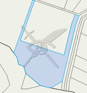 ����� ������� ������,�. ����, ������ ������