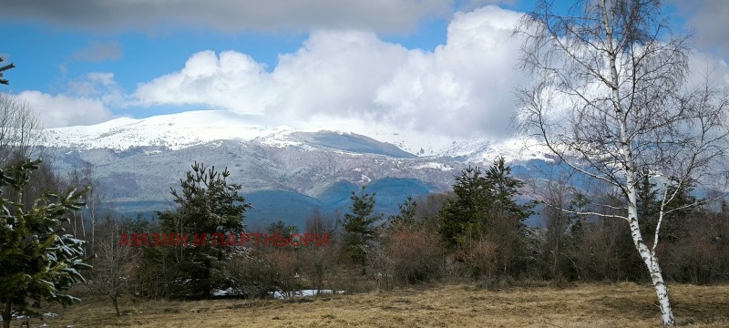 Продава ПАРЦЕЛ, гр. София, с. Железница, снимка 4 - Парцели - 52683660