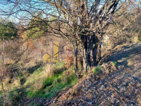 ������� ������ | Imot.bg � ����� ������ 6