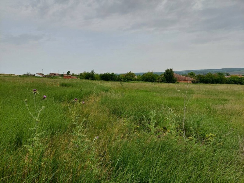 Na prodej  Spiknutí oblast Burgas , Aleksandrovo , 784 m2 | 71546284