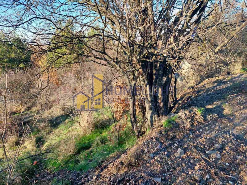 Продава ПАРЦЕЛ, с. Нови хан, област София област, снимка 6 - Парцели - 52752069